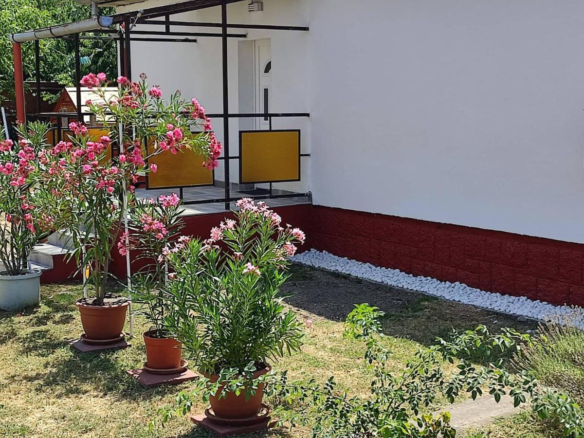 Rakos-Patak Family House Hotel Budapest Ngoại thất bức ảnh