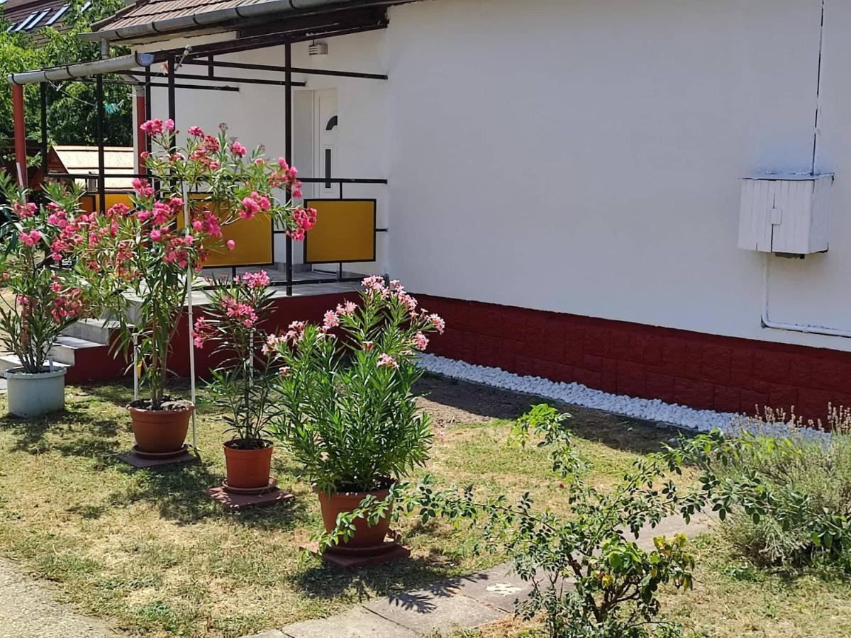 Rakos-Patak Family House Hotel Budapest Ngoại thất bức ảnh