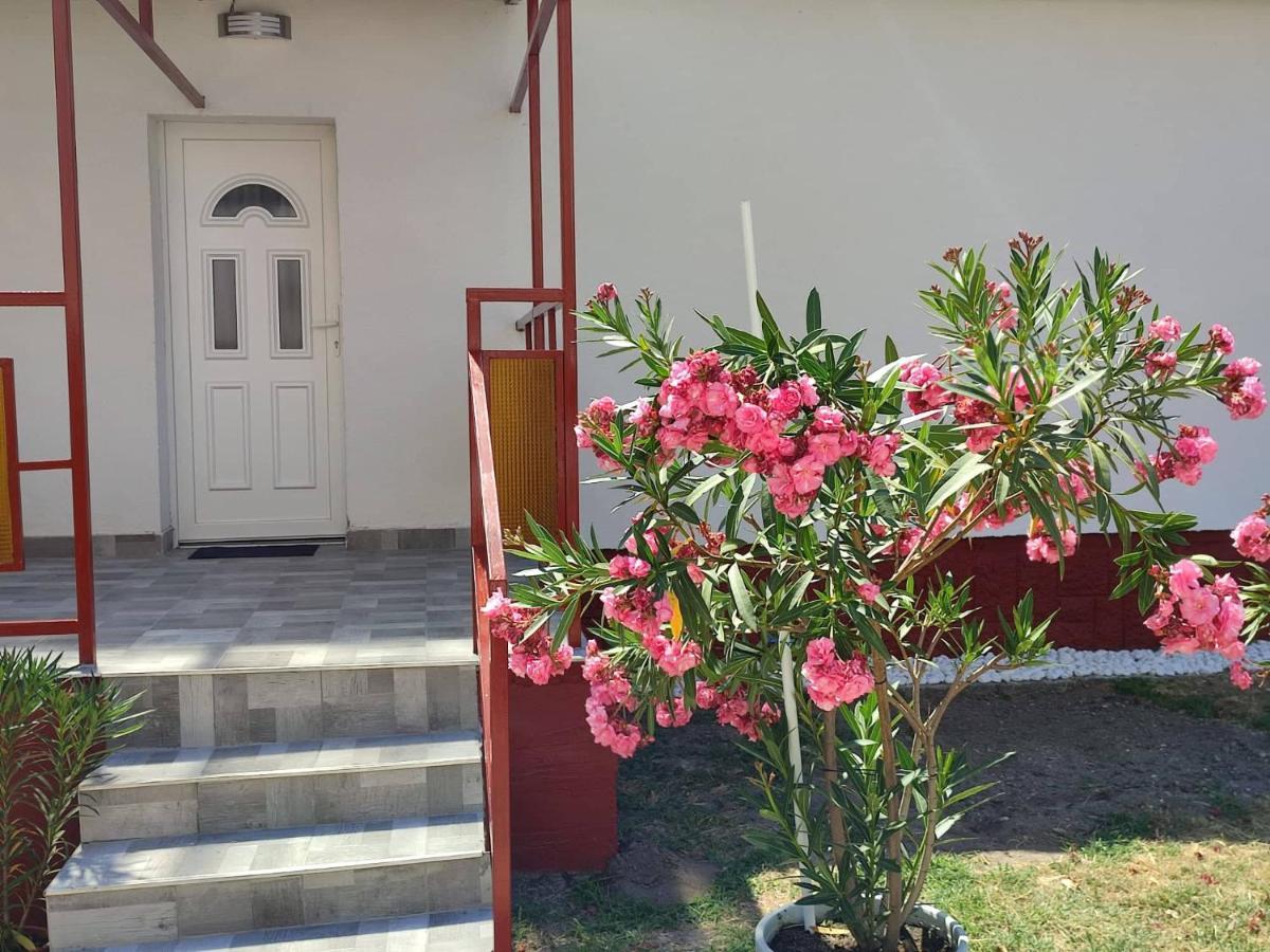 Rakos-Patak Family House Hotel Budapest Ngoại thất bức ảnh